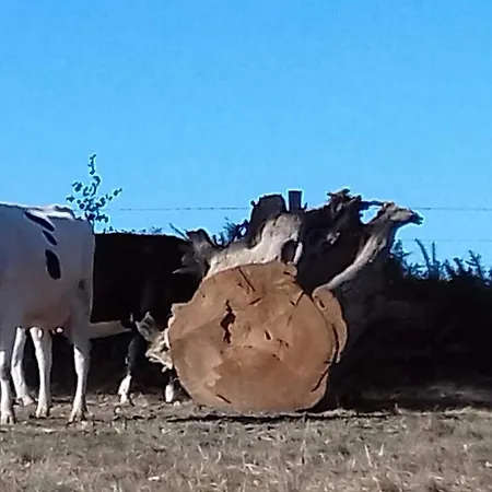 Le Chateau Du Grand Coudray Отель типа 