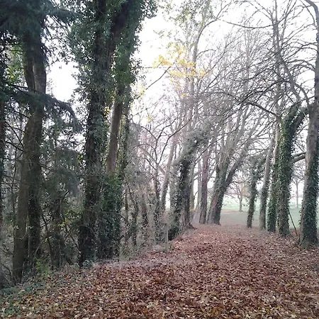 Le Chateau Du Grand Coudray Отель типа 