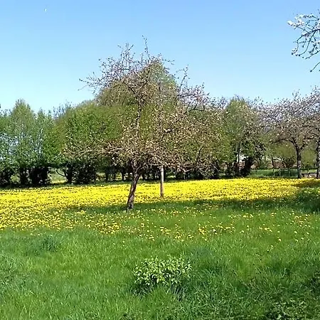 Le Chateau Du Grand Coudray 3* Villaines-la-Juhel