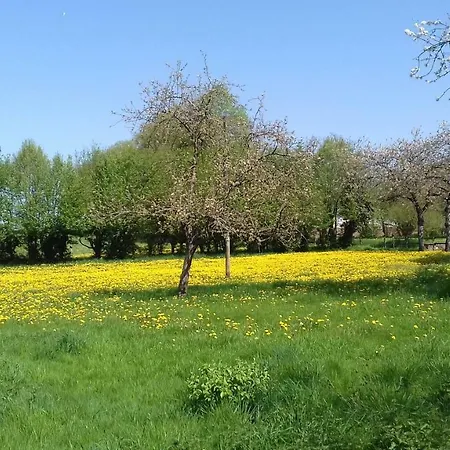 Le Chateau Du Grand Coudray Отель типа 