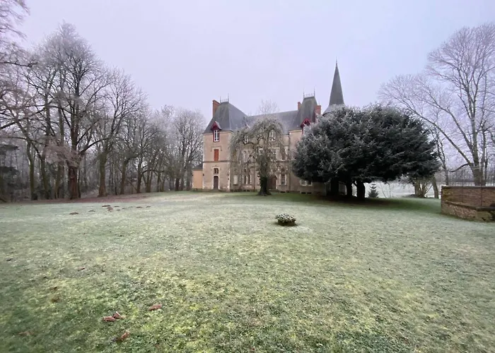 Le Chateau Du Grand Coudray Bed & Breakfast 3*