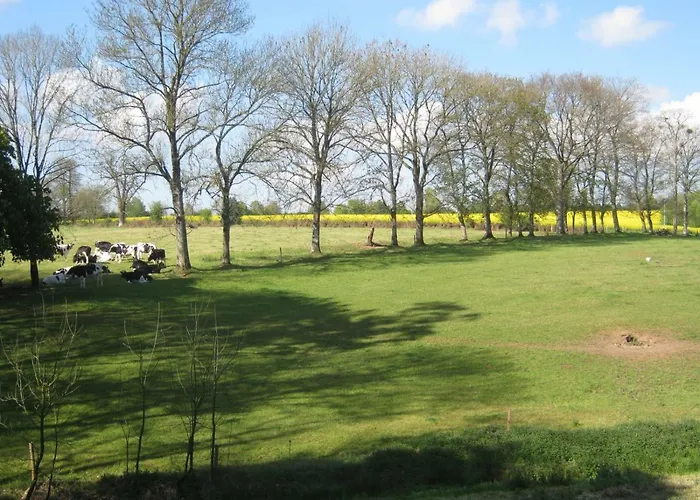 Le Chateau Du Grand Coudray 3*