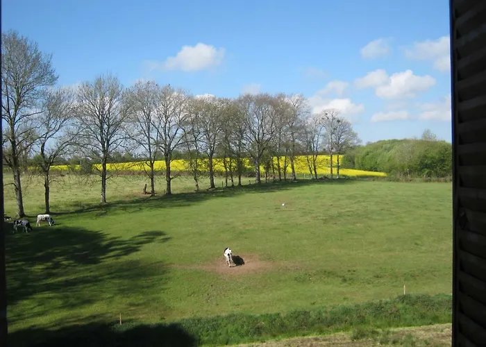 Bed & Breakfast Le Chateau Du Grand Coudray